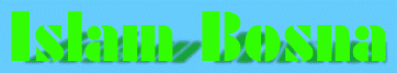 Bosna Islam