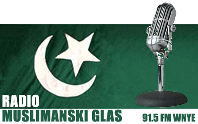 logo12.gif