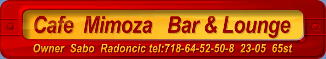 Za vise slika kliknite ovde P-GTB