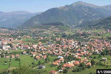 plav.jpg